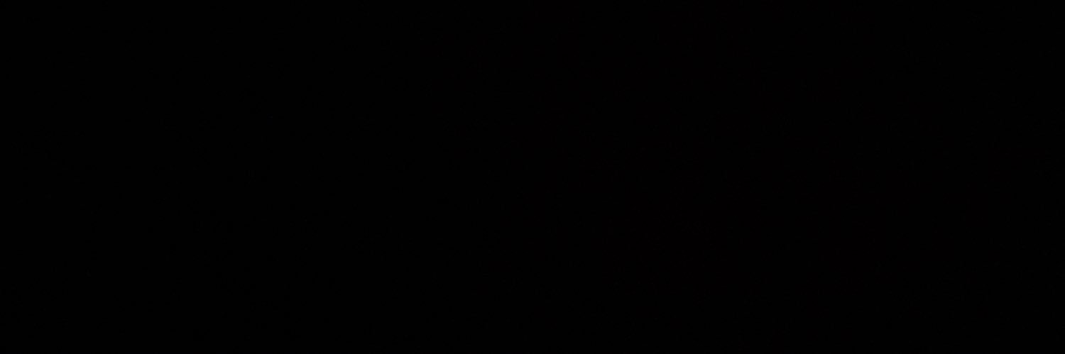 爆走モルモット banner