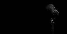 standupxaverius's profile banner image