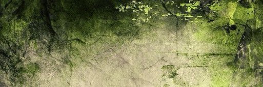 brooke - 🎸🕷️ banner