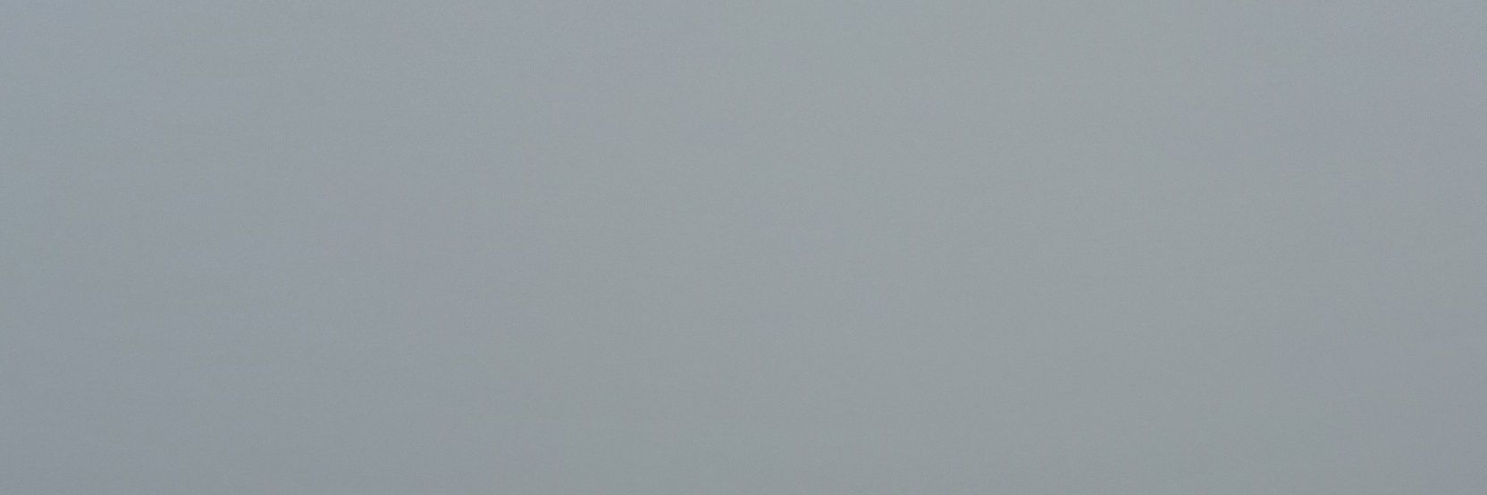 weirdoo banner