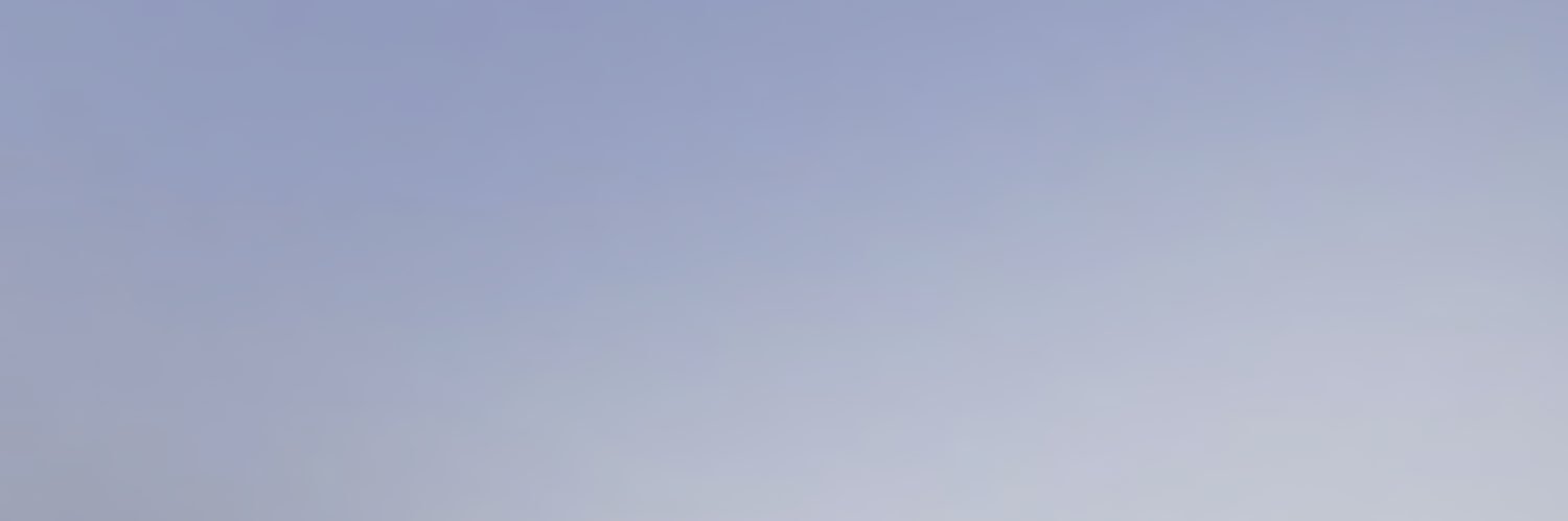 null's banner