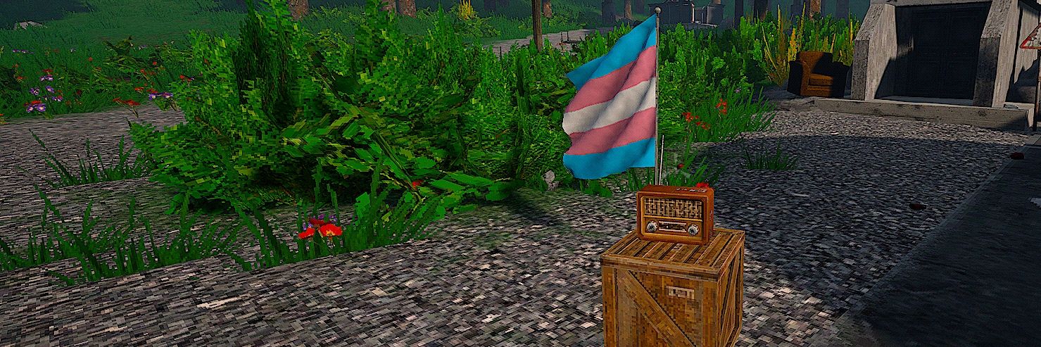 Durge Enjoyer 🇵🇸⚧️🇻🇪 banner