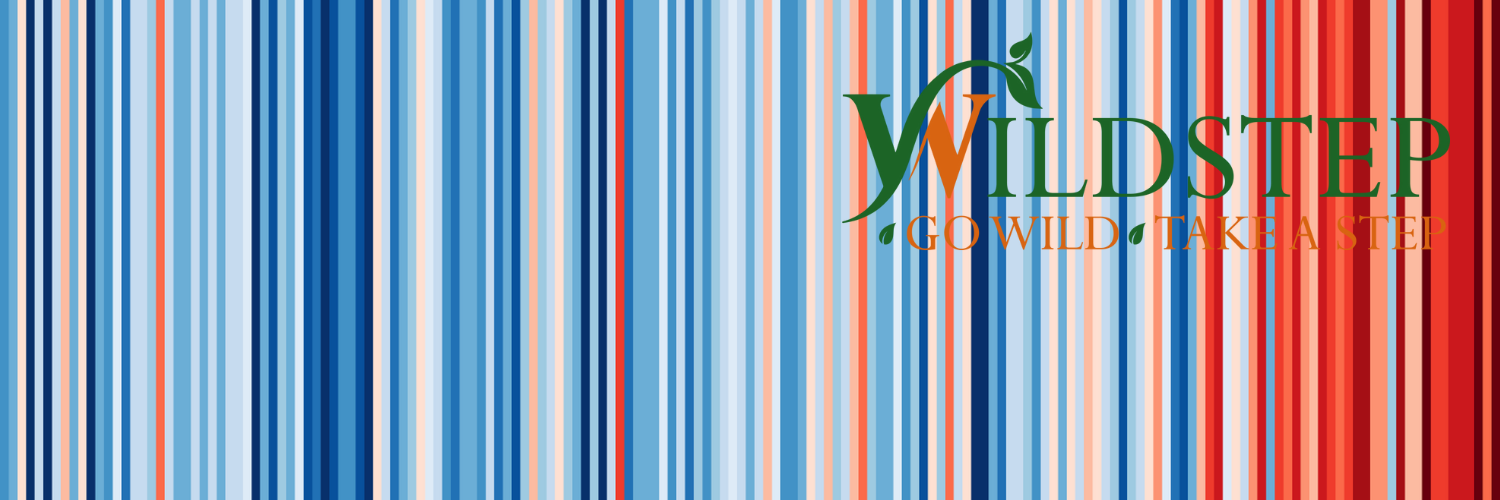WildStep banner