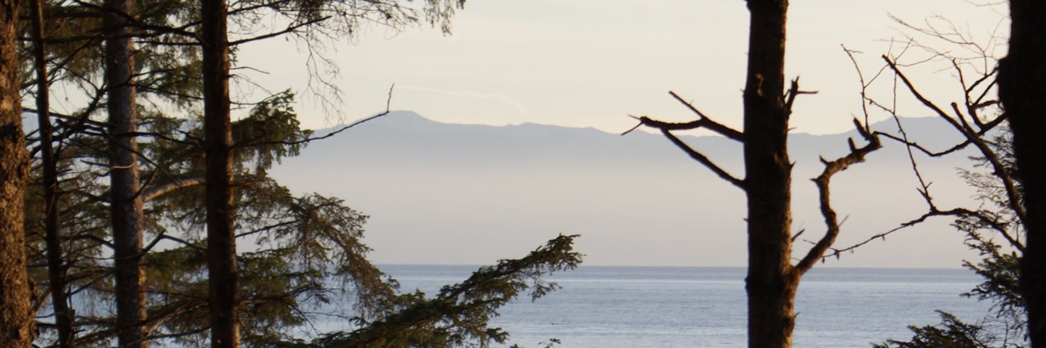 Shanceee's profile banner image