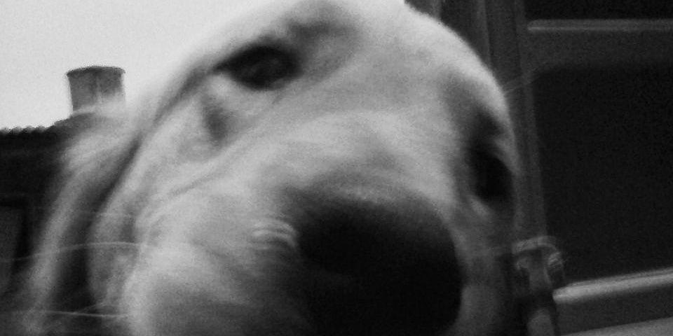 mggo_'s profile banner image