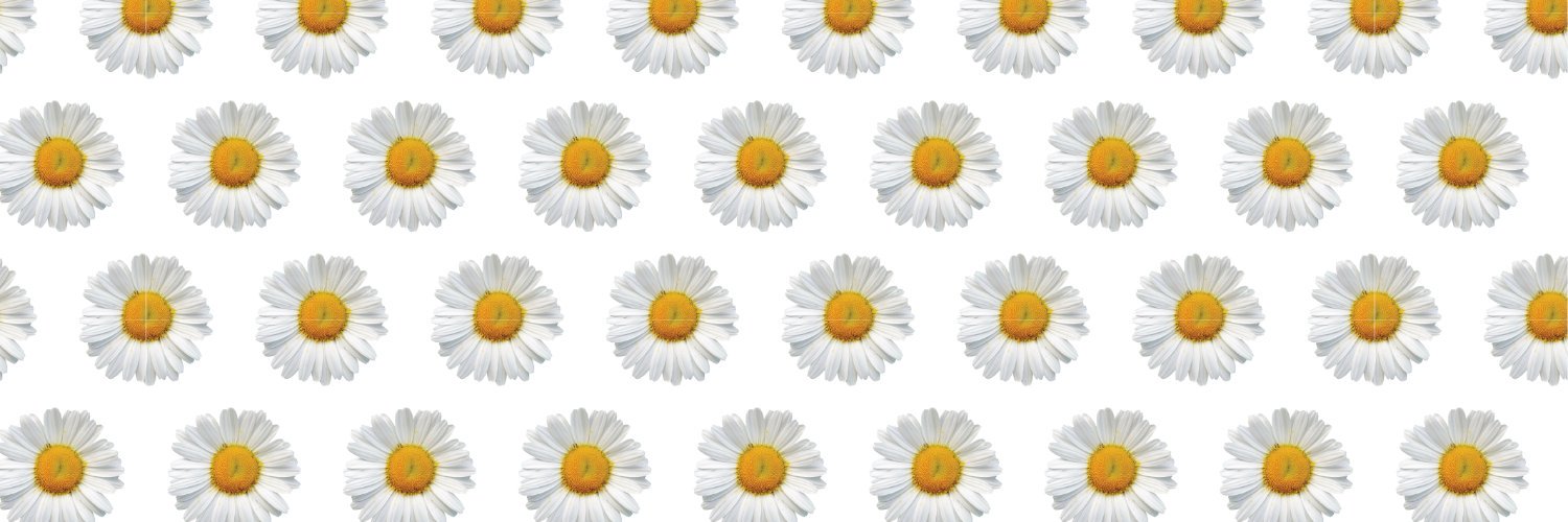 adysraaa's profile banner image