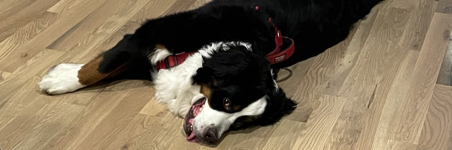 Clinton Sprinkle banner