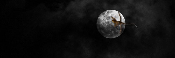 Ana_Krimova Profile Banner