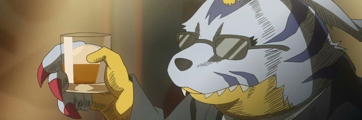 Fer banner