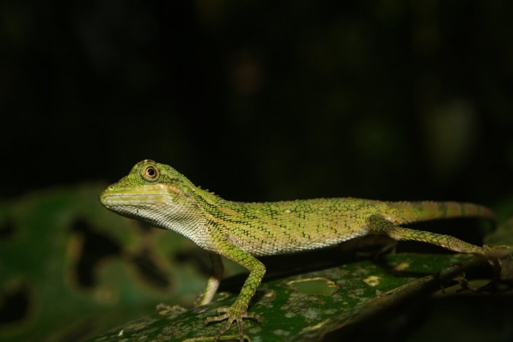 kprajawan's profile banner image