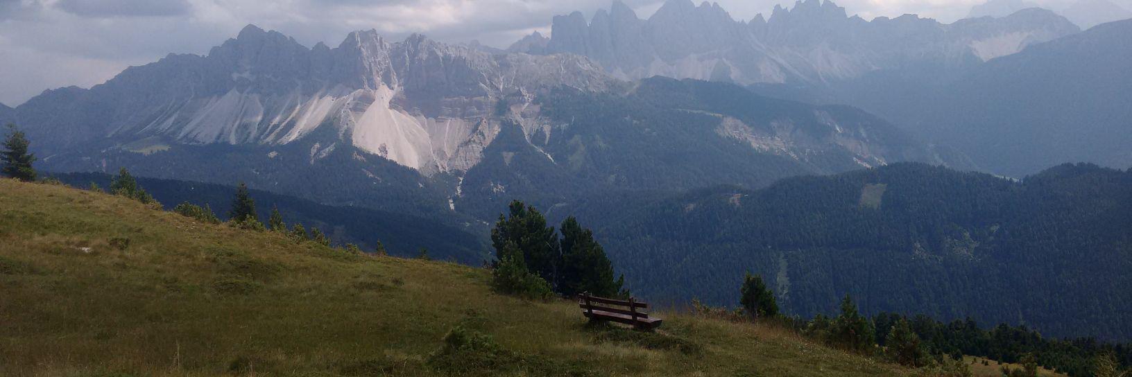 AdrianoPetit's profile banner image