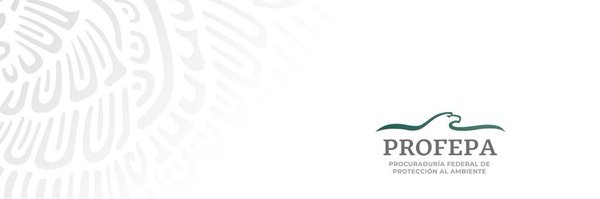 blancamendozav Profile Banner