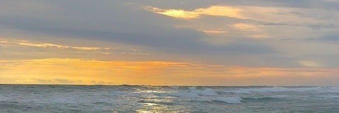 flavio banner