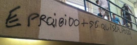 Gato de 18 anos deixado no abrigo banner