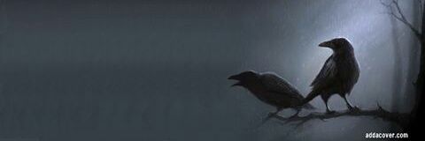sid_william's profile banner image