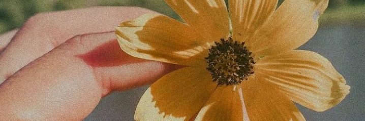 P1Vale's profile banner image