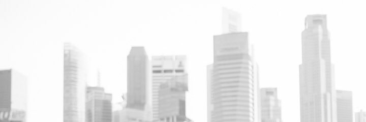 Carla Dunareanu banner