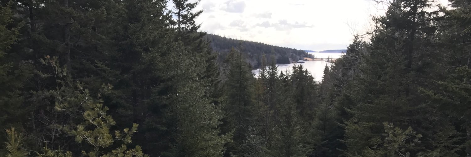 The Dr. O’Connell Lab banner