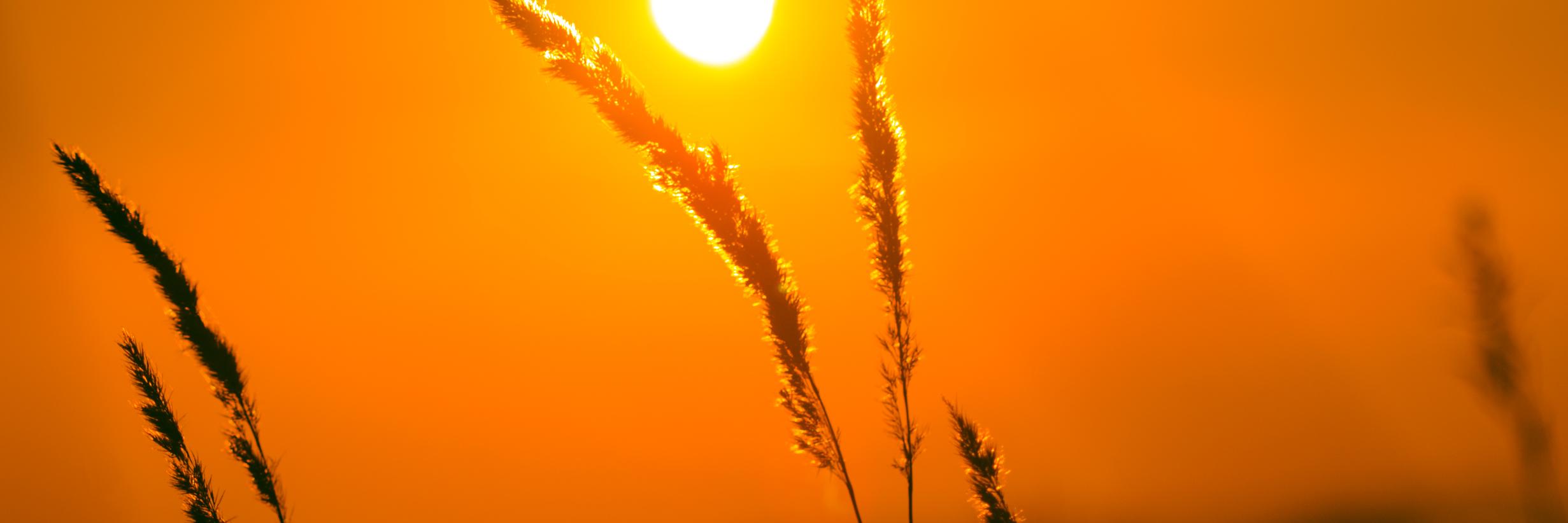 Utskhography's profile banner image