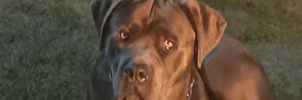 aliast6469 Profile Banner