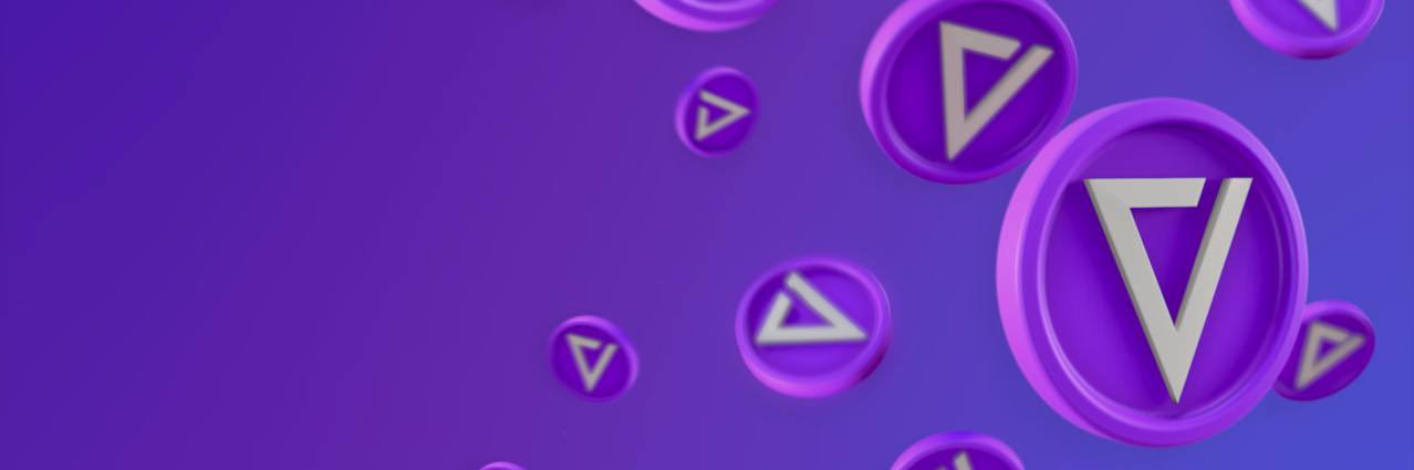 VZZN banner