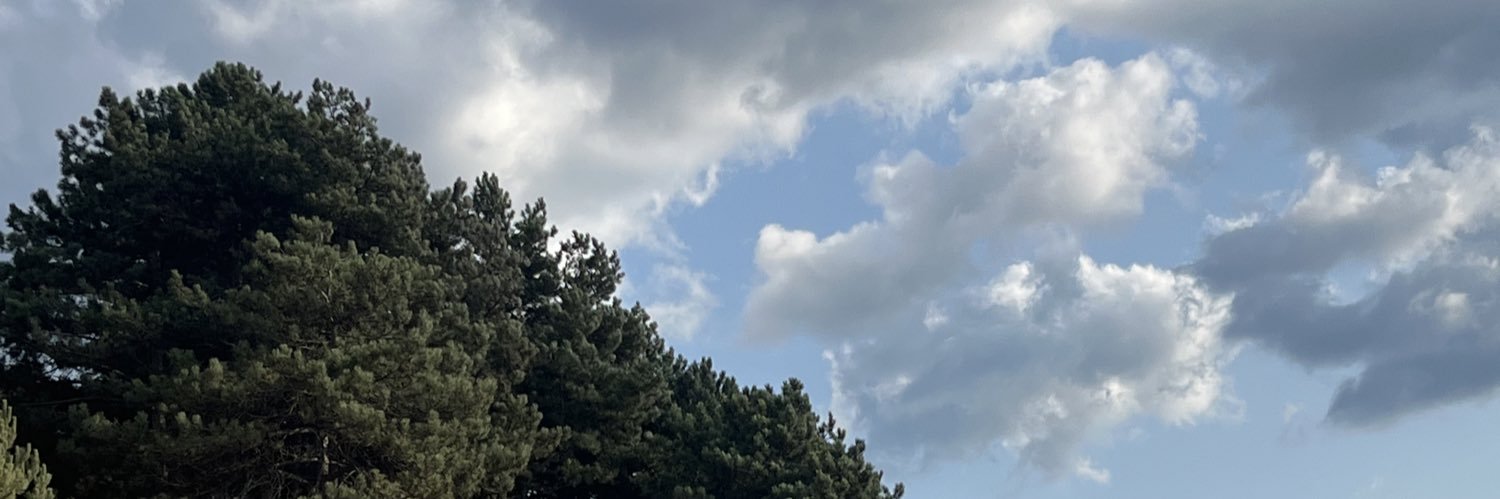 aysedemirdi's profile banner image