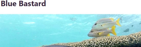 jancalitoo's profile banner image