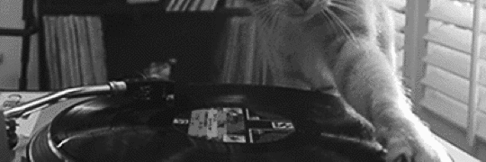 crivvl's profile banner image