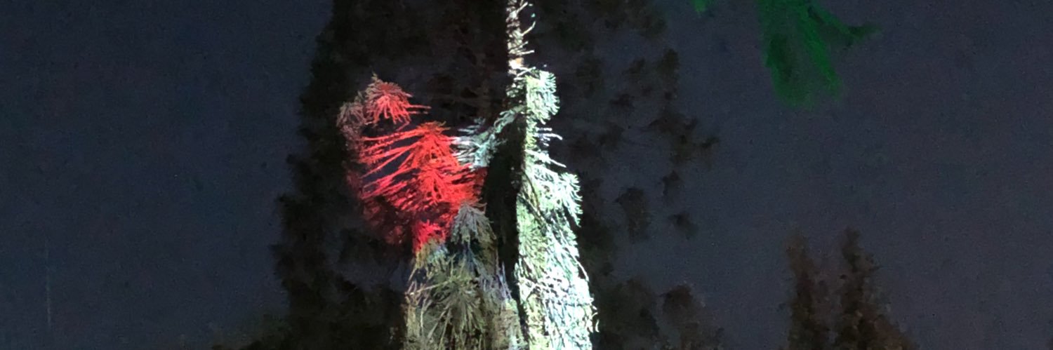 S00LCITO's profile banner image