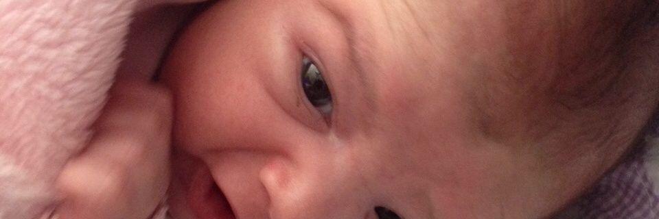 oieusoualareka banner