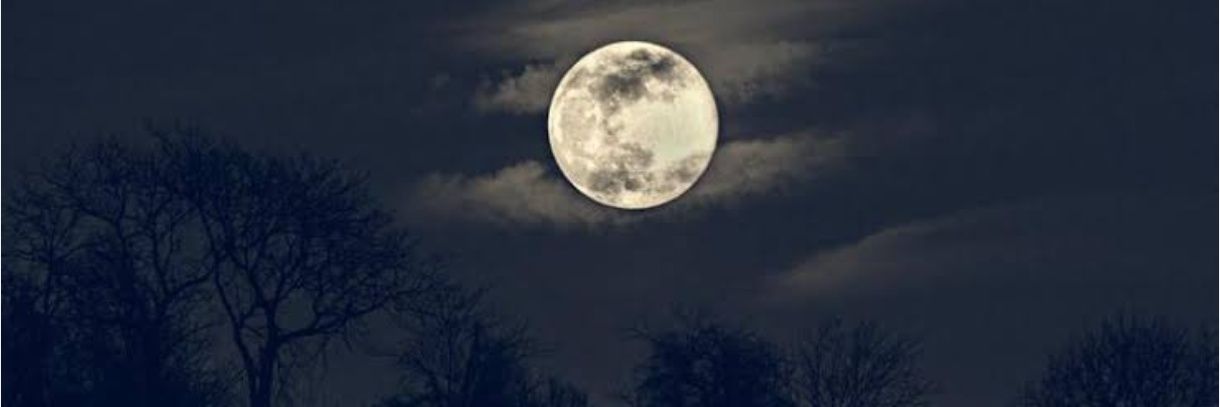 fatma_ipkk_'s profile banner image