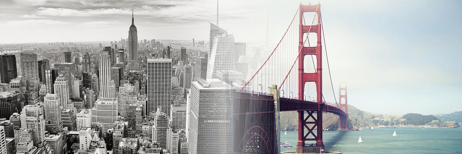 Maya Pope-Chappell banner