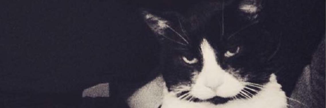 DanGlasswick's profile banner image