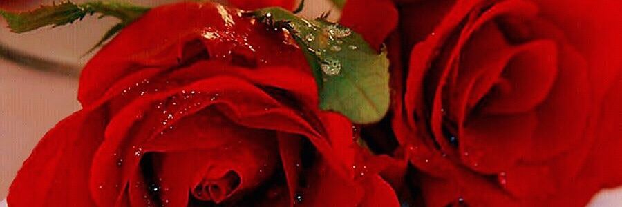 viip_0022's profile banner image