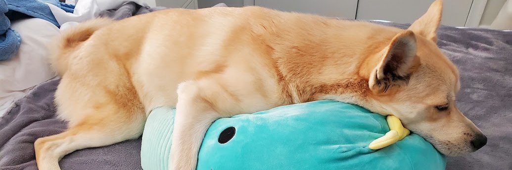 rilt's profile banner image