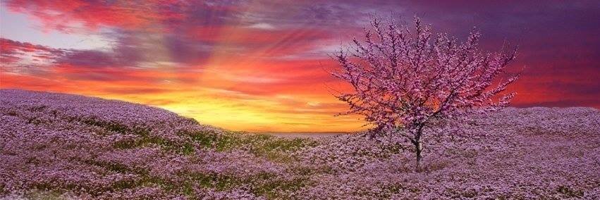 JBCCounseling's profile banner image