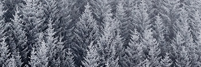 MichelleDLap's profile banner image
