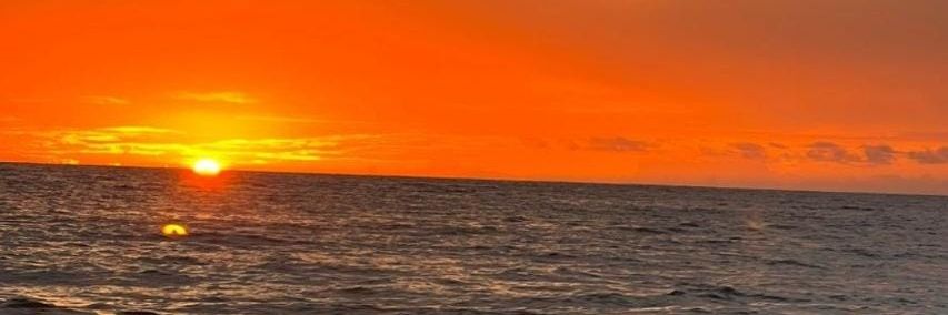 _____D35S's profile banner image