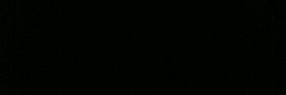 anixxxai's profile banner image