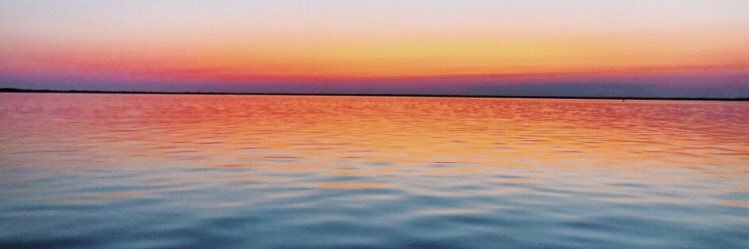 W0lf_Haleyy's profile banner image