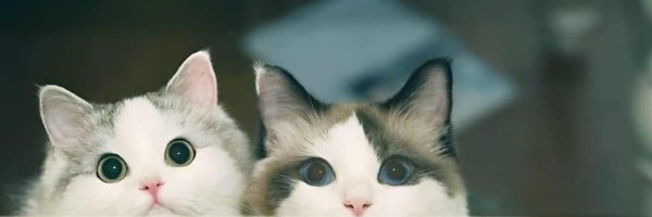 Fernnn_2 Profile Banner