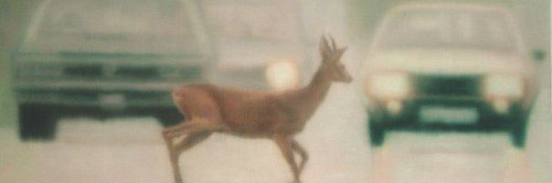 ondeerblgn's profile banner image