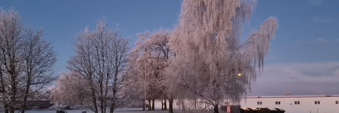 5Aldarwesh's profile banner image