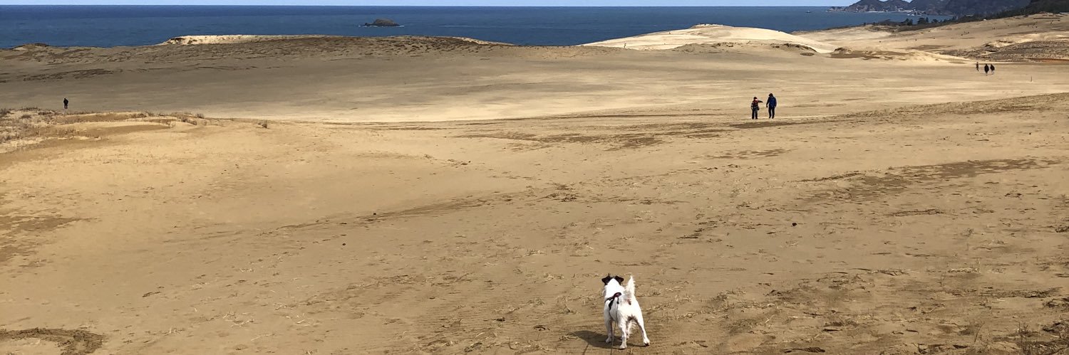 mutismdog's profile banner image