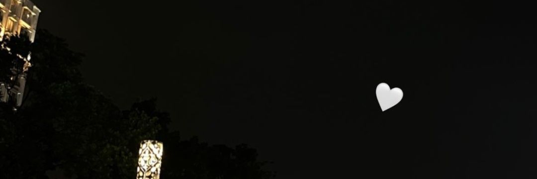 yourscatX.v777 😼 | SEI 🌊 banner