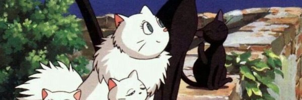 Zexliqiu Profile Banner