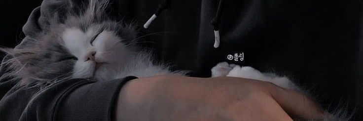 zee banner