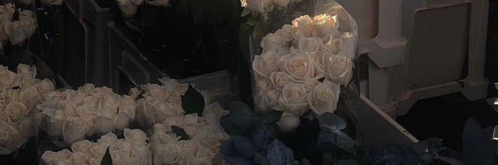 Cx330 banner