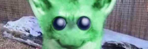 Mahayanalistic Profile Banner