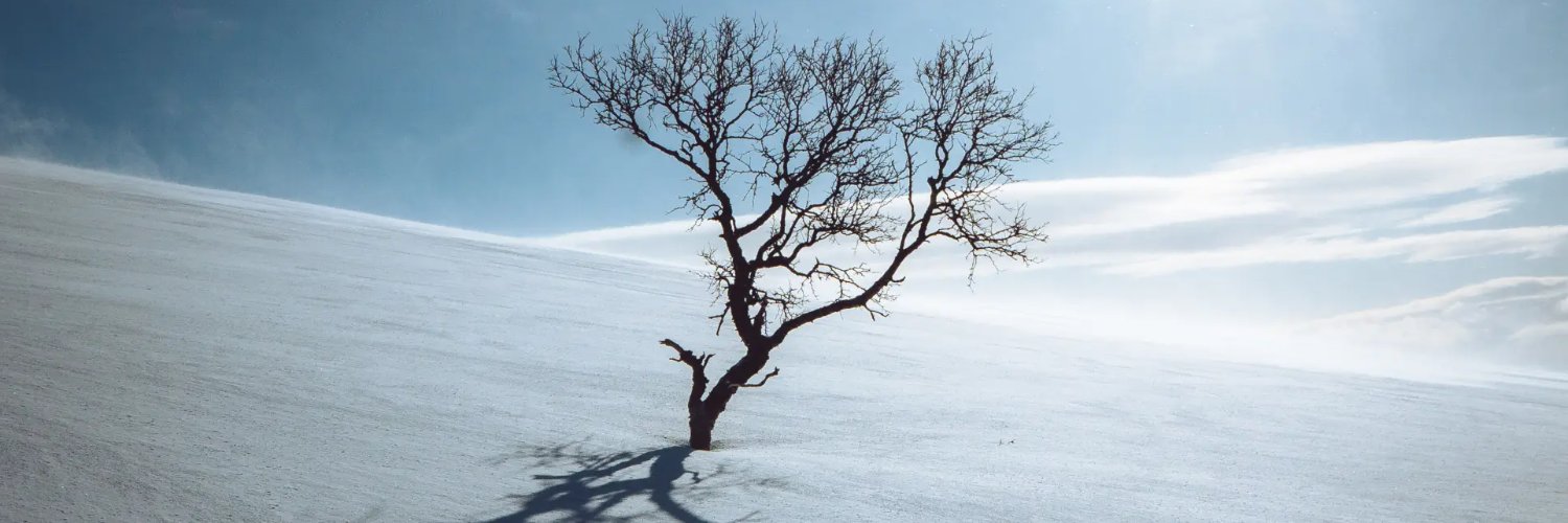 beqadi's profile banner image